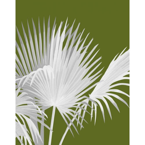 Fan Palm 1, White on Green Gold Ornate Wood Framed Art Print with Double Matting by Fab Funky