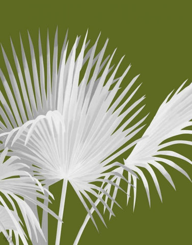 Fan Palm 1, White on Green White Modern Wood Framed Art Print with Double Matting by Fab Funky