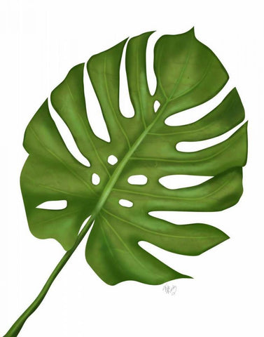 Monstera Leaf 1, Green on White Black Ornate Wood Framed Art Print with Double Matting by Fab Funky