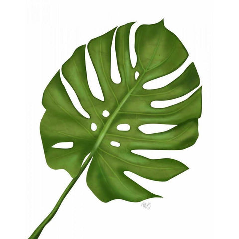 Monstera Leaf 1, Green on White White Modern Wood Framed Art Print by Fab Funky