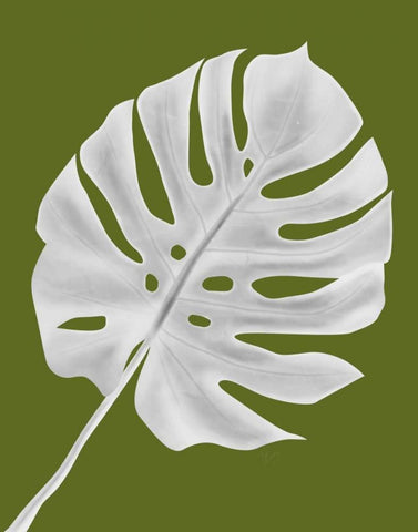 Monstera Leaf 1, White On Green White Modern Wood Framed Art Print with Double Matting by Fab Funky