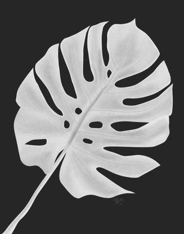 Monstera Leaf 1, White On Black Black Ornate Wood Framed Art Print with Double Matting by Fab Funky