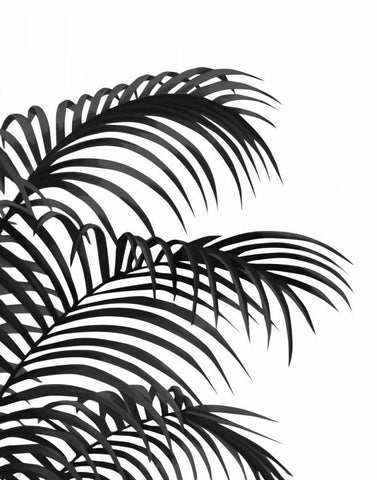 Palm Leaf 1, Black On White White Modern Wood Framed Art Print with Double Matting by Fab Funky