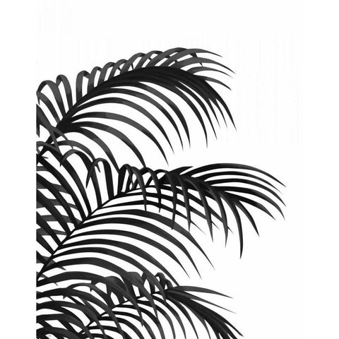 Palm Leaf 1, Black On White Black Modern Wood Framed Art Print with Double Matting by Fab Funky