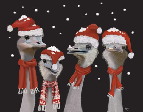 Ostrich, Christmas Gals White Modern Wood Framed Art Print with Double Matting by Fab Funky