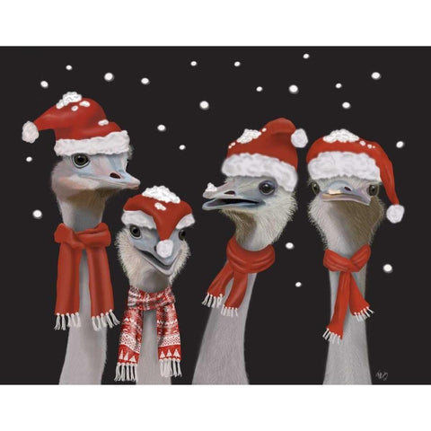 Ostrich, Christmas Gals Black Modern Wood Framed Art Print with Double Matting by Fab Funky