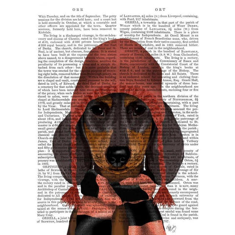 Dachshund in Pink Hat and Scarf Black Modern Wood Framed Art Print with Double Matting by Fab Funky