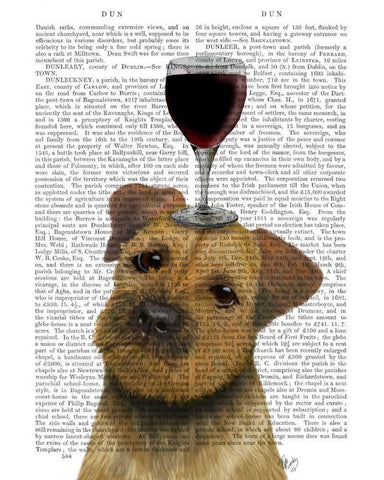 Dog Au Vin, Border Terrier White Modern Wood Framed Art Print with Double Matting by Fab Funky