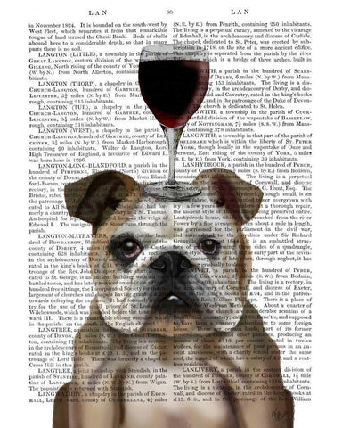 Dog Au Vin, English Bulldog White Modern Wood Framed Art Print with Double Matting by Fab Funky