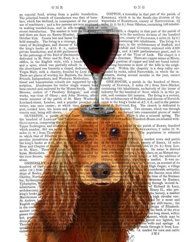 Dog Au Vin, Cocker Spaniel Black Ornate Wood Framed Art Print with Double Matting by Fab Funky