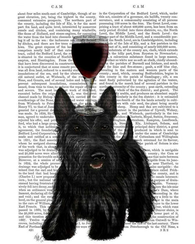 Dog Au Vin, Scottish Terrier Black Ornate Wood Framed Art Print with Double Matting by Fab Funky