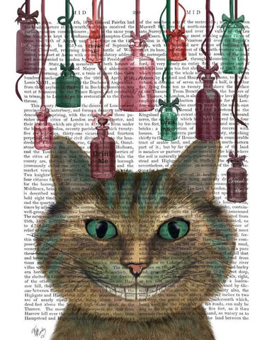 Cheshire Cat and Bottles White Modern Wood Framed Art Print with Double Matting by Fab Funky