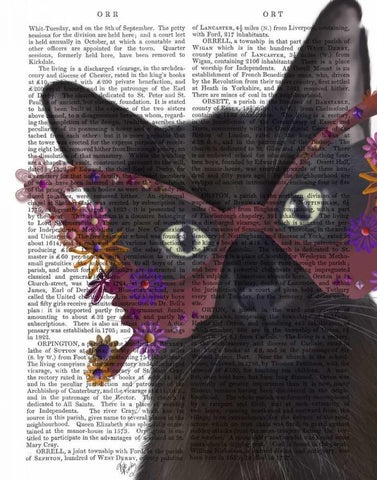 Cat and Flower Glasses White Modern Wood Framed Art Print with Double Matting by Fab Funky