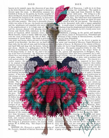 Ostrich, Can Can in Pink and Turquoise Black Ornate Wood Framed Art Print with Double Matting by Fab Funky