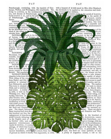 Pineapple, Monstera Leaf Black Ornate Wood Framed Art Print with Double Matting by Fab Funky