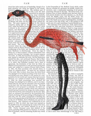 Flamingo with Kinky Boots White Modern Wood Framed Art Print with Double Matting by Fab Funky