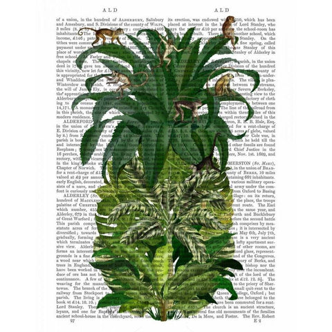 Pineapple, Monkeys Black Modern Wood Framed Art Print with Double Matting by Fab Funky