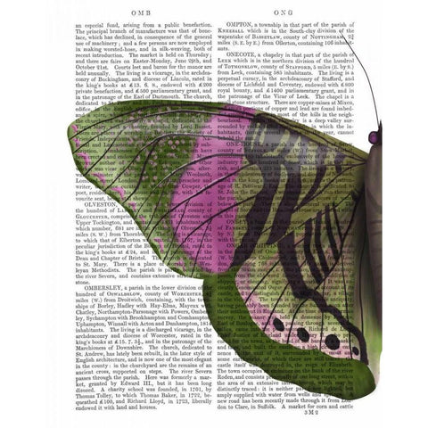 Butterfly in Green and Pink a White Modern Wood Framed Art Print by Fab Funky