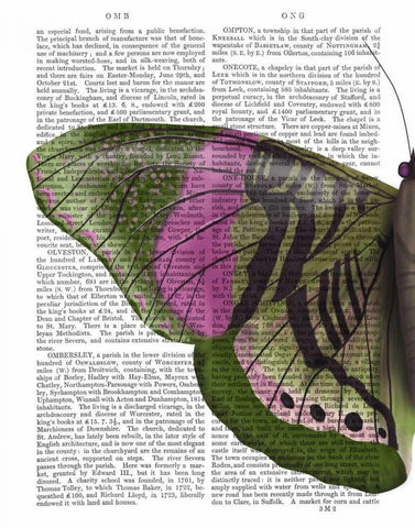 Butterfly in Green and Pink a White Modern Wood Framed Art Print with Double Matting by Fab Funky