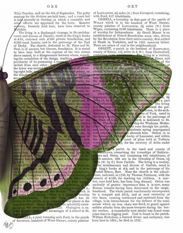 Butterfly in Green and Pink b Black Ornate Wood Framed Art Print with Double Matting by Fab Funky