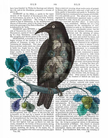 Floral Crow On Branch Black Ornate Wood Framed Art Print with Double Matting by Fab Funky