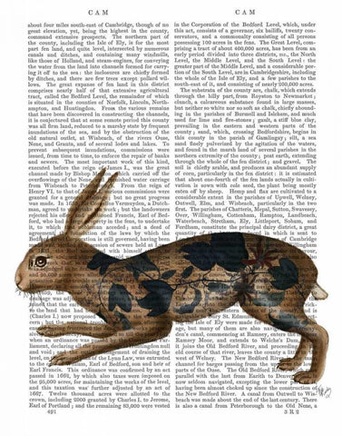 Hare and Black Leaves White Modern Wood Framed Art Print with Double Matting by Fab Funky