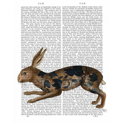 Hare and Black Leaves Black Modern Wood Framed Art Print with Double Matting by Fab Funky