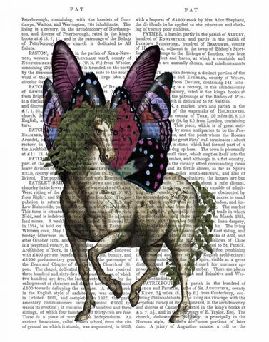 Horse with Butterfly Wings White Modern Wood Framed Art Print with Double Matting by Fab Funky