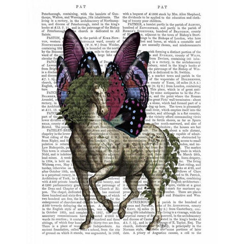 Horse with Butterfly Wings Black Modern Wood Framed Art Print with Double Matting by Fab Funky