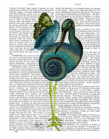 Snail Bird White Modern Wood Framed Art Print with Double Matting by Fab Funky