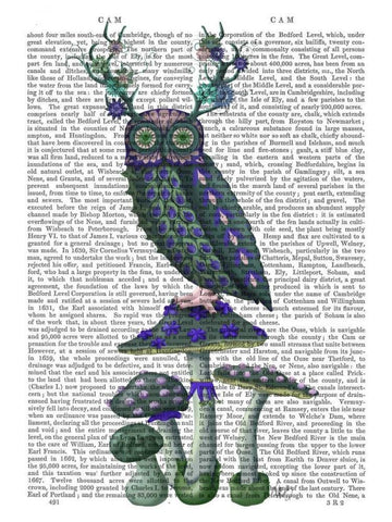 Owl on Mushrooms White Modern Wood Framed Art Print with Double Matting by Fab Funky