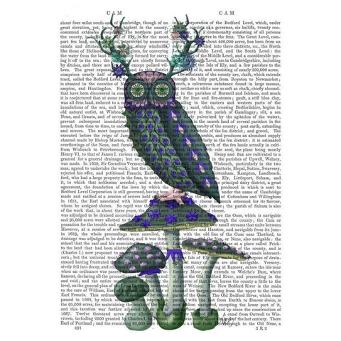 Owl on Mushrooms Black Modern Wood Framed Art Print with Double Matting by Fab Funky