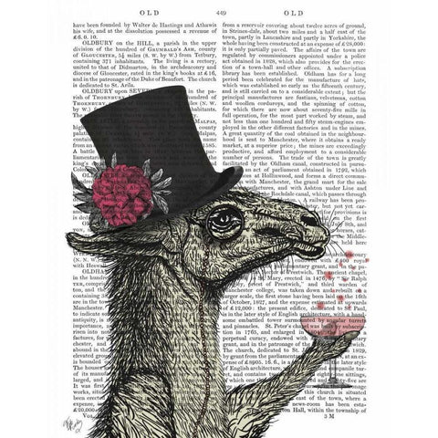 Llama Lush 1 Black Modern Wood Framed Art Print with Double Matting by Fab Funky