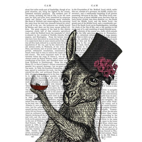 Llama Lush 2 Black Modern Wood Framed Art Print with Double Matting by Fab Funky