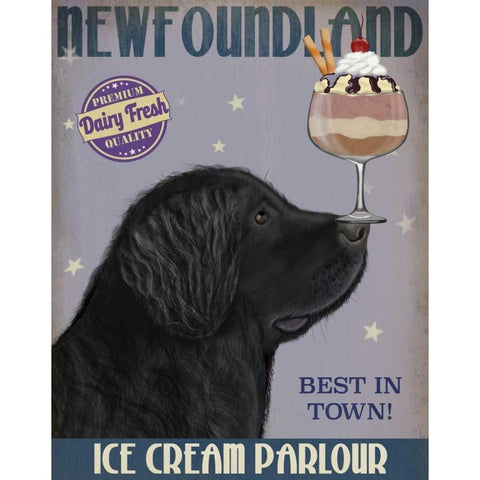 Newfoundland Ice Cream Black Modern Wood Framed Art Print with Double Matting by Fab Funky