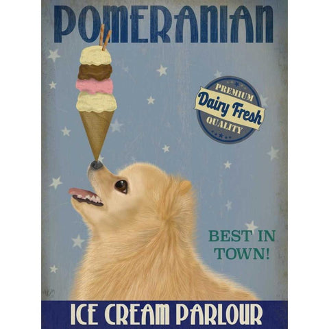 Pomeranian Ice Cream Black Modern Wood Framed Art Print with Double Matting by Fab Funky