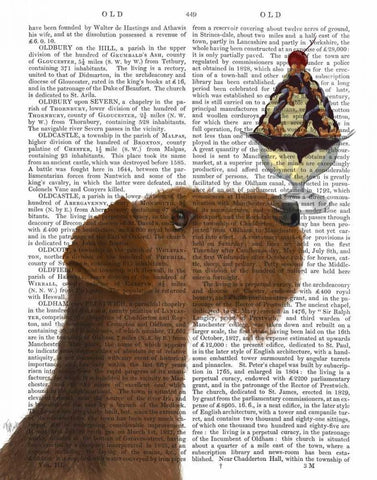 Airedale Ice Cream Black Ornate Wood Framed Art Print with Double Matting by Fab Funky