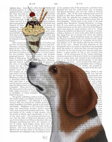 Beagle Ice Cream Black Ornate Wood Framed Art Print with Double Matting by Fab Funky