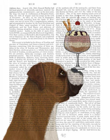 Boxer Ice Cream White Modern Wood Framed Art Print with Double Matting by Fab Funky