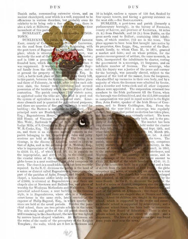 English Bulldog Ice Cream White Modern Wood Framed Art Print with Double Matting by Fab Funky