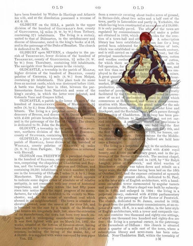 Chihuahua, Fawn, Ice Cream White Modern Wood Framed Art Print with Double Matting by Fab Funky