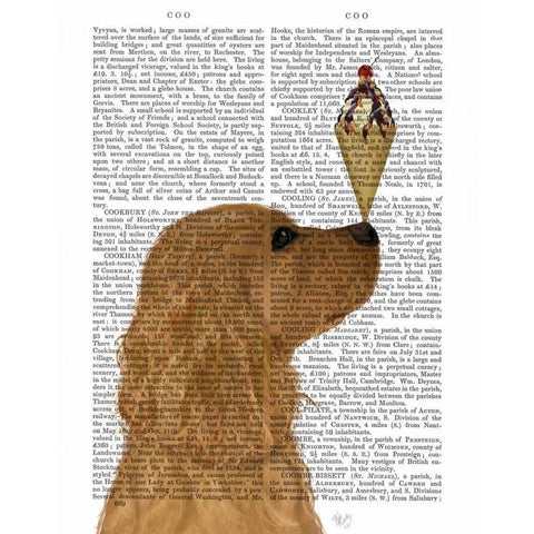 Cocker Spaniel, Golden, Ice Cream Black Modern Wood Framed Art Print with Double Matting by Fab Funky