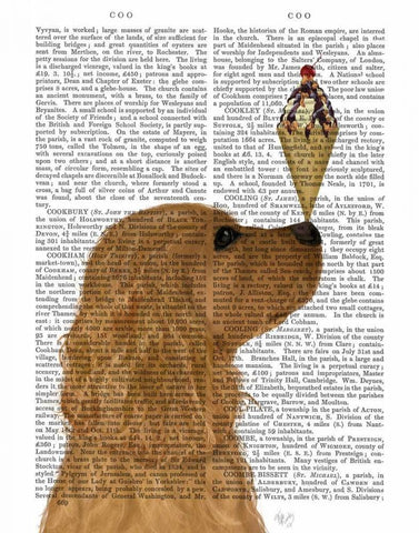 Cocker Spaniel, Golden, Ice Cream White Modern Wood Framed Art Print with Double Matting by Fab Funky