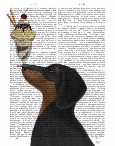 Dachshund, Black and Tan, Ice Cream White Modern Wood Framed Art Print with Double Matting by Fab Funky