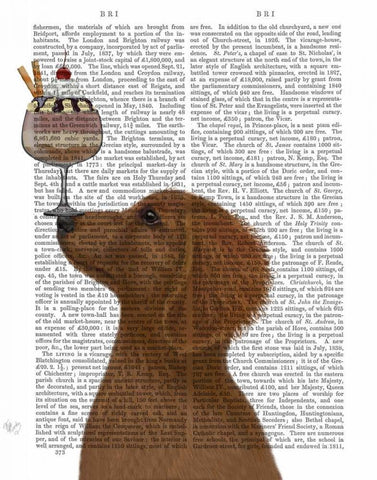 Dachshund, Gold, Ice Cream White Modern Wood Framed Art Print with Double Matting by Fab Funky