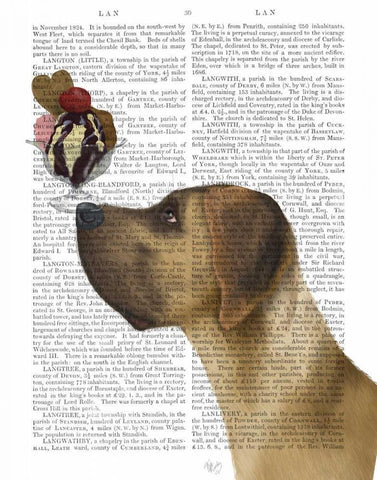 Great Dane, Tan, Ice Cream White Modern Wood Framed Art Print with Double Matting by Fab Funky