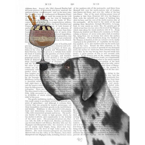 Great Dane, Harlequin, Ice Cream White Modern Wood Framed Art Print by Fab Funky