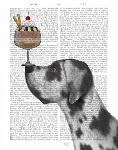 Great Dane, Harlequin, Ice Cream White Modern Wood Framed Art Print with Double Matting by Fab Funky