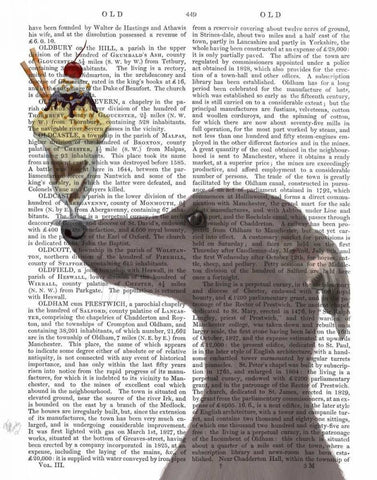 Greyhound, Grey, Ice Cream Black Ornate Wood Framed Art Print with Double Matting by Fab Funky