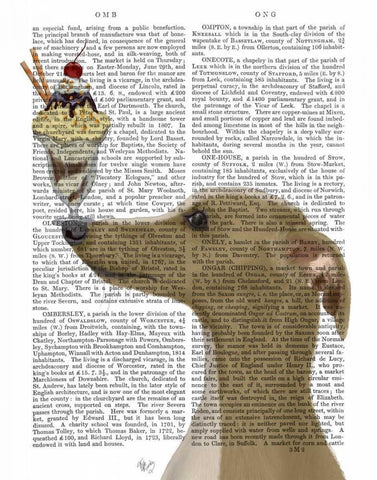 Greyhound, Tan, Ice Cream Black Ornate Wood Framed Art Print with Double Matting by Fab Funky